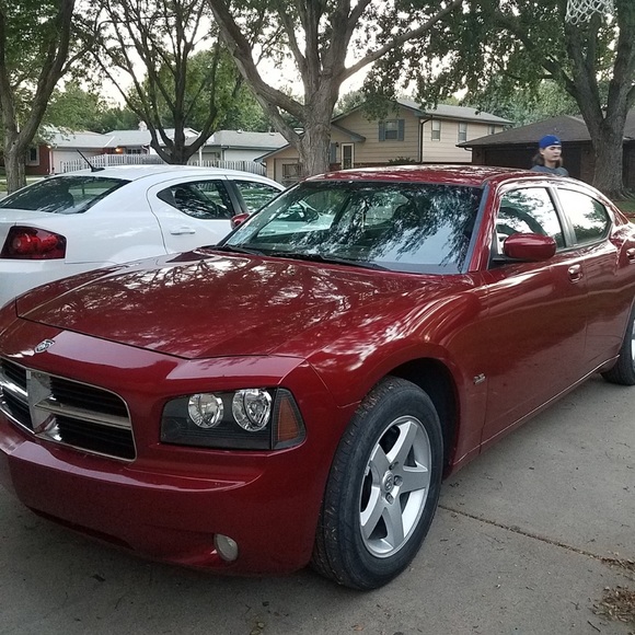 Meet your Posher, Owen - Picture 1 of 1